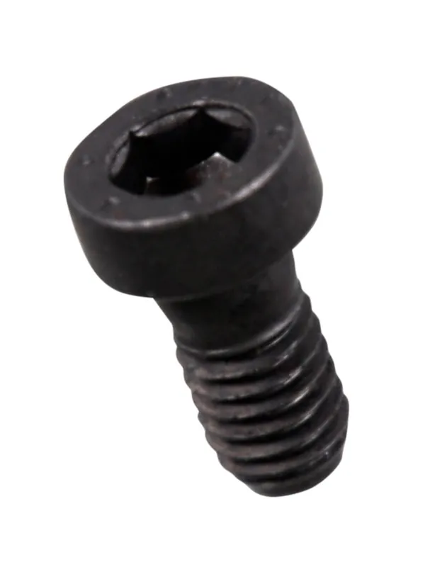 Echt Forstreich Zylinderkopfschraube M6x12 für TR 30