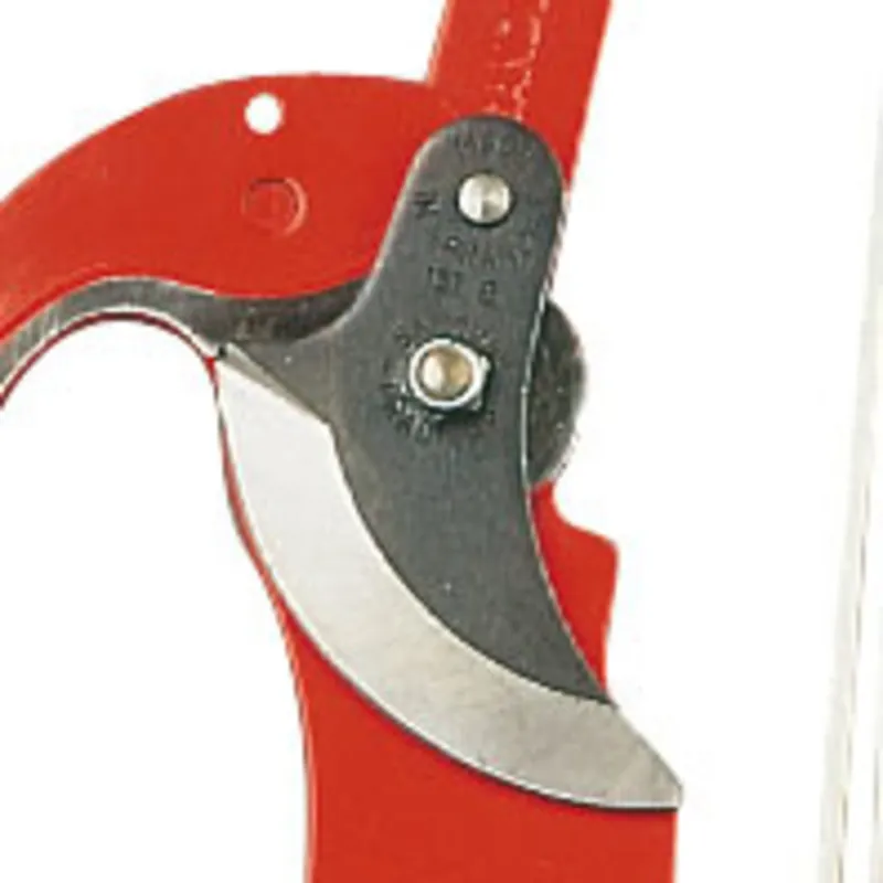 Ersatzklinge für Raupenschere Preis Gesenkt