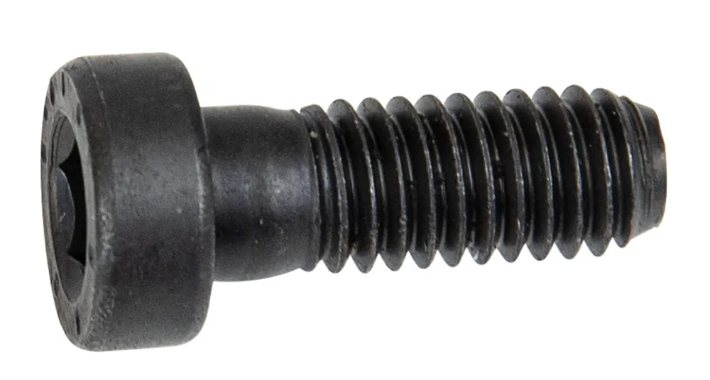 Forstreich Zylinderkopfschraube M6 x 16 für TR 30 AQ Neu