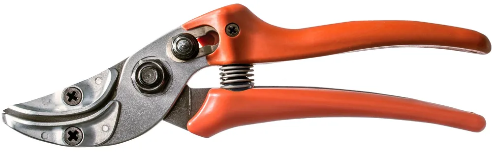 Preiswert Löwe Rosenpräsentierschere Nr. 16 ergonomische Ausführung