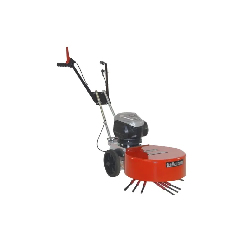 Tielbürger Wildkrautbürste hw50e (B&S Motor) Schnäppchen