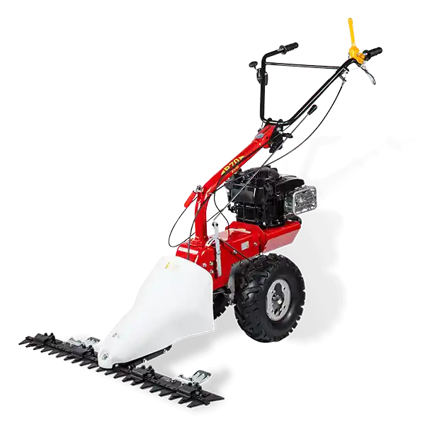 Eurosystems Mehrzweckgerät M250 (P70) (B&S) - nur Grundgerät Preisknaller
