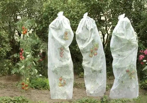 Top-Preis floraworld Tomatenreifevlies 0,8x5m 17g weiß
