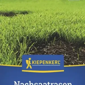 Beliebt Kiepenkerl Nachsaatrasen Kiepenkerl 2 kg