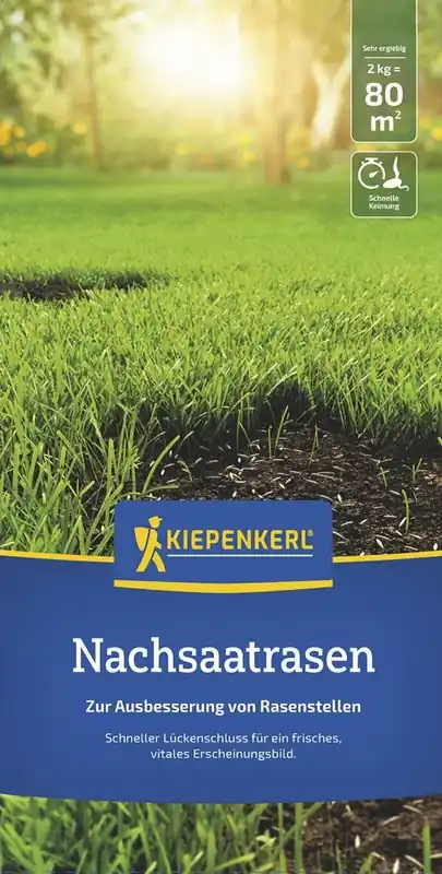 Beliebt Kiepenkerl Nachsaatrasen Kiepenkerl 2 kg