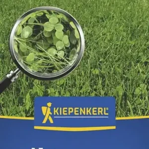 Kiepenkerl Naturrasen Kiepenkerl 1 kg Nur Heute