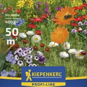 Kiepenkerl Niedrige Naturwiese Profi-Line Premium 0,4 kg Sonderaktion