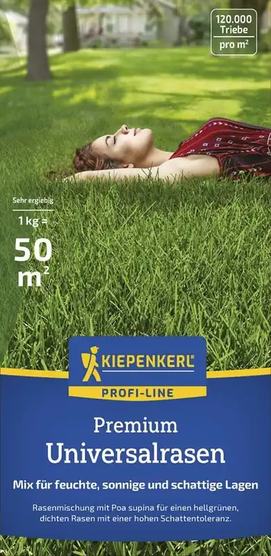 Kiepenkerl Qualitätsrasen mit Poa supina 1 kg Profi-Line Premium Beliebt