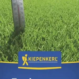 Günstig Kiepenkerl Trockenrasen Kiepenkerl 1 kg