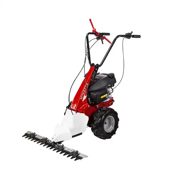 eurosystems Mehrzweckgerät MINIEFFE M150 RG (B&S) - nur Grundgerät Neu
