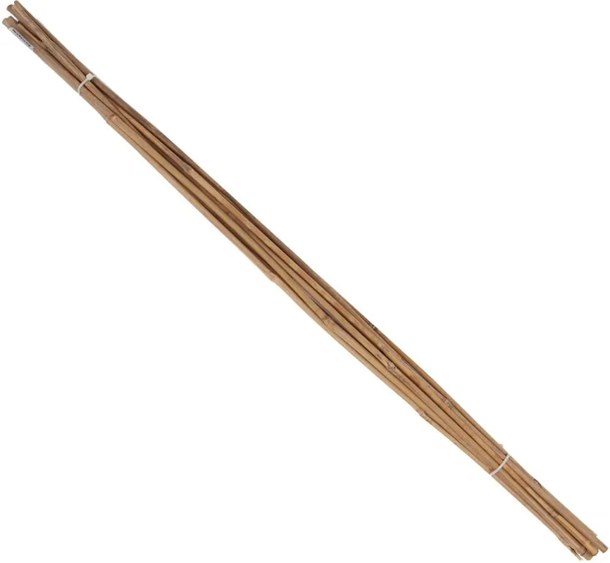 floraworld Tonkin-Pflanzstab Ø 6-8mm 75 cm 10er Bund Schnäppchen