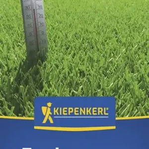 Preiswert Kiepenkerl Trockenrasen Kiepenkerl 1 kg