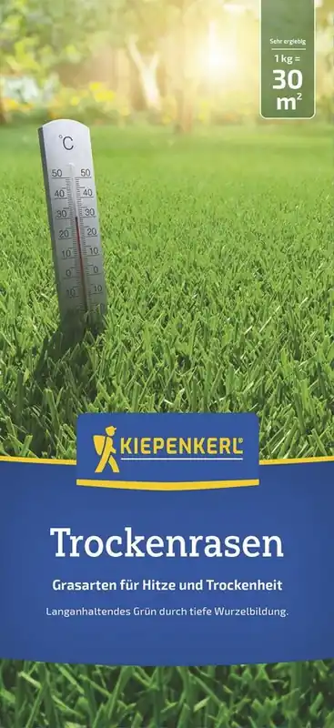 Preiswert Kiepenkerl Trockenrasen Kiepenkerl 1 kg