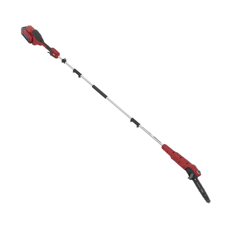 TORO Akku-Hochentaster 51847T - ohne Akku & Ladegerät Preisreduziert