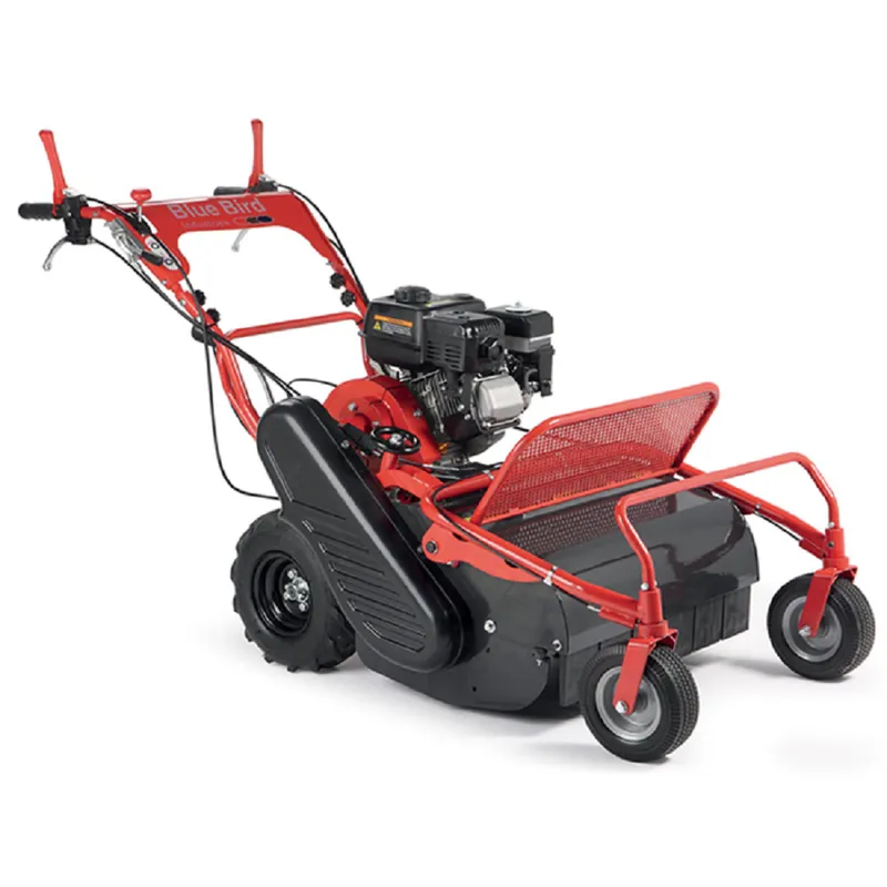 Blue Bird FM 600 Schlegelmäher Top-Preis