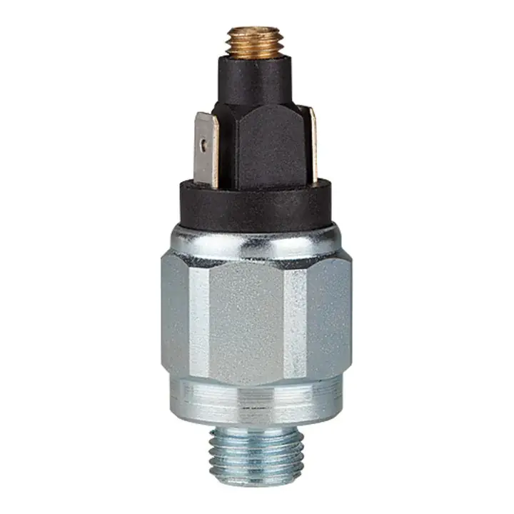 Riegler Druckschalter, Standard, Stahl verz., G 1/8, 10-70 bar, Schließer Highlight