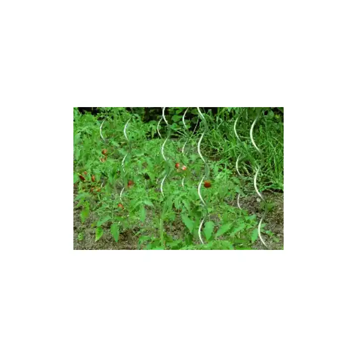 Abverkauf floraworld Tomatenspiralstab 150 cm, Durchmesser 6,8 mm verzinkt