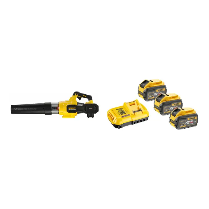 Direktkauf Set DEWALT Flexvolt Akku-Axialgebläse 54V, Basisversion DCMBA572N-XJ + Flexvolt Starter-Set 3x Akku, 54V /162 Wh DCB118X3-QW