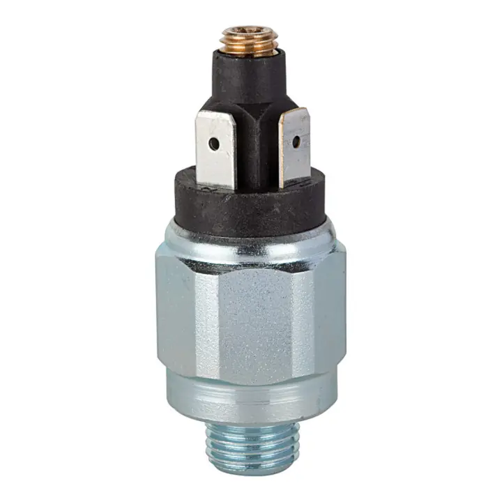 Riegler Druckschalter, Standard, Stahl verz., G 1/4, 1 - 10 bar, Öffner Markenware