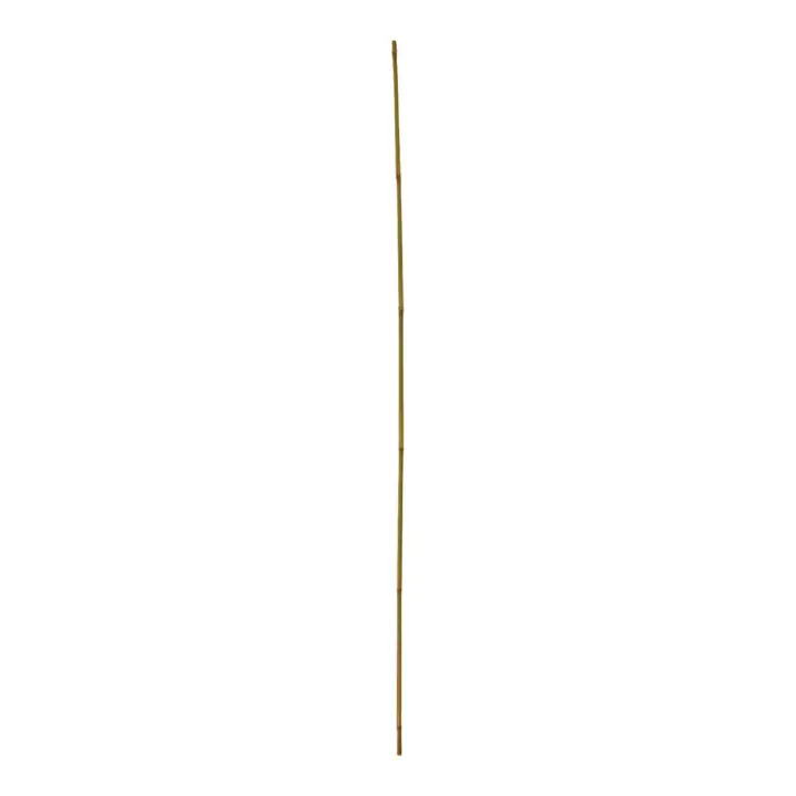 floraworld Tonkin-Pflanzstab, Durchmesser 8-10mm 120cm 10er Bund Angebot