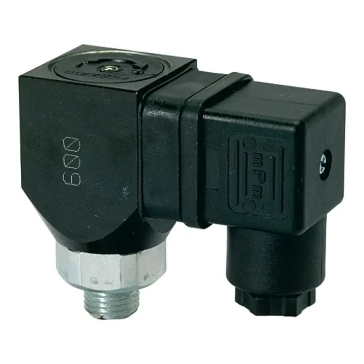 Sichere Zahlung Riegler Druckschalter, Wechselkont. drehbar, Stahl ver., G 1/4, 1-10 bar