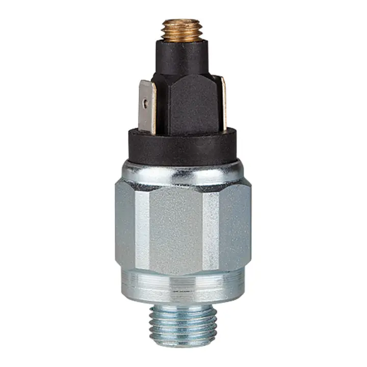 Ausverkauf Riegler Druckschalter, Standard, Stahl verz., G 1/8, 1-10 bar, Schließer