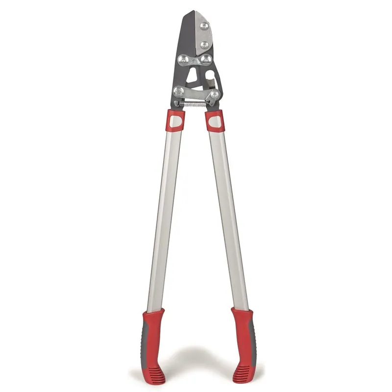 Knallerangebot Astschere RS 800 V