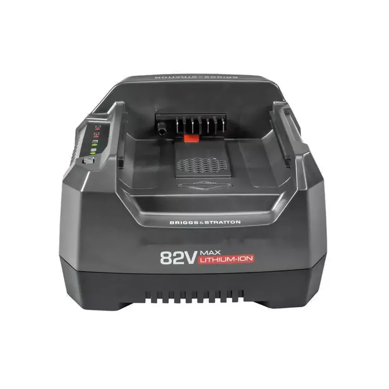 Expressversand AS Motor Ladegerät 82V 4A (Briggs & Stratton E-Geräte)