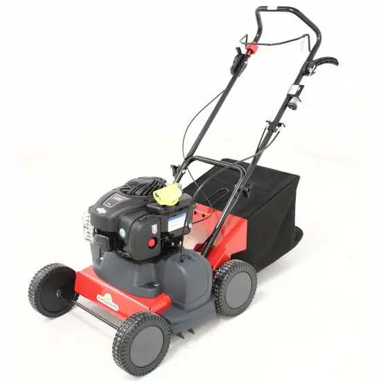 Billig Eurosystems SC 42 B - Vertikutierer mit festen Messern - Motor B&S 450