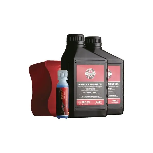 Mega-Angebot Briggs + Stratton Motor Wartungssatz 5 hp