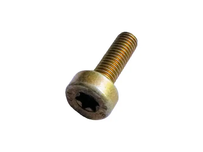 Geprüft STIHL Kettensäge Motorsäge Schraube TORX M5 x 16