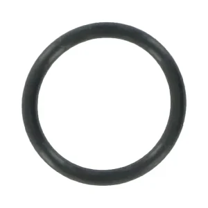 Begrenztes Angebot Briggs & Stratton Dichtung - O Ring - 793628