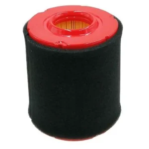 Aktuell Luftfilter mit Vorfilter für MTD - 737-05066