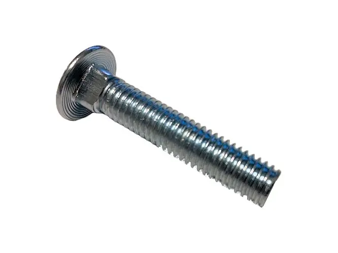 Sichere Zahlung Schloßschraube 40mm