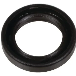 Versand Am Gleichen Tag Briggs & Stratton Dichtung (Regler Welle)