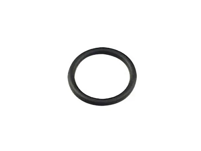 O-Ring (Vergaser) für Briggs & Stratton - 270344S Direkt Vom Hersteller
